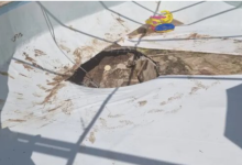 Photo of video | Un bărbat a murit fiind înghiţit de o groapă apărută pe fundul unei piscine