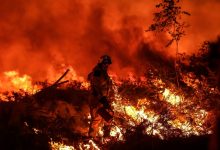 Photo of Europa ia foc. Apocalipsa de căldură aduce incendii fără precedent pe întreg continentul