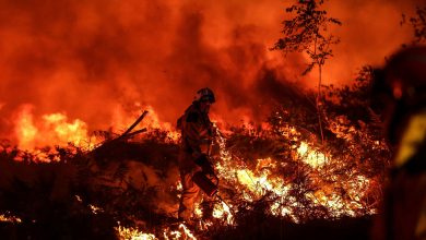 Photo of Europa ia foc. Apocalipsa de căldură aduce incendii fără precedent pe întreg continentul