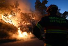 Photo of foto, video | Incendii de vegetație periculoase în Croația. Flăcările sunt greu de controlat în Zadar și Sibenik