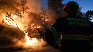 Photo of foto, video | Incendii de vegetație periculoase în Croația. Flăcările sunt greu de controlat în Zadar și Sibenik