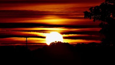 Photo of „Căldura roșie” lovește Europa: „Apocalipsa meteo” anunțată pentru 2050 vine în această săptămână
