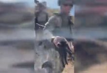 Photo of video | Insula Șerpilor, curățată de mine și echipament militar rusesc. Ucrainenii au salvat și o pisică