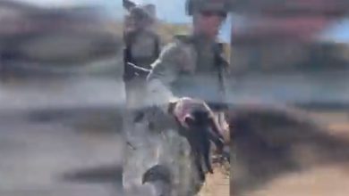 Photo of video | Insula Șerpilor, curățată de mine și echipament militar rusesc. Ucrainenii au salvat și o pisică