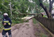 Photo of foto | Zeci de copaci doborâți la pământ și drumuri blocate în urma ploilor cu grindină și vântului care au cuprins nordul țării