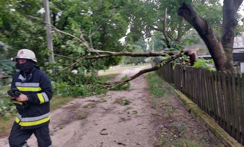 Photo of foto | Zeci de copaci doborâți la pământ și drumuri blocate în urma ploilor cu grindină și vântului care au cuprins nordul țării