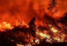 Photo of video | Incendiile fac prăpăd în toată lumea. Spania rămâne fără apă pentru stingerea flăcărilor din cauza secetei