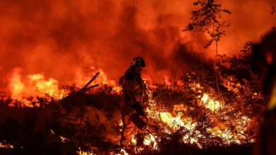 Photo of video | Incendiile fac prăpăd în toată lumea. Spania rămâne fără apă pentru stingerea flăcărilor din cauza secetei