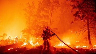 Photo of video | Stare de urgență în California. Din cauza unui incendiu de vegetație, mii de persoane au fost evacuate