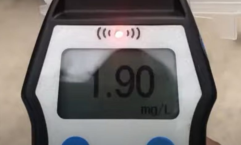 Photo of video | Mort de beat la volan, un bărbat de 81 de ani s-a lăsat fugărit de polițiștii de la Fălești