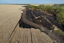 Photo of foto | Un lan cu grâu a fost cuprins de flăcări! Au fost distruse peste 18 ha