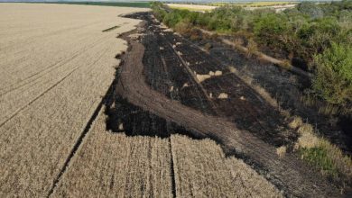 Photo of foto | Un lan cu grâu a fost cuprins de flăcări! Au fost distruse peste 18 ha