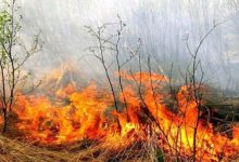 Photo of foto | Incendiu în sectorul Rîșcani al capitalei. Peste 300 de metri pătrați de vegetație uscată au luat foc