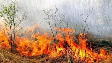 Photo of foto | Incendiu în sectorul Rîșcani al capitalei. Peste 300 de metri pătrați de vegetație uscată au luat foc