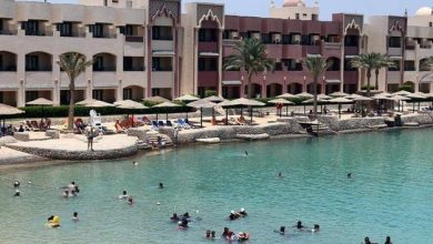 Photo of O româncă, ucisă de rechini în Egipt. Al doilea caz în aceeași zi