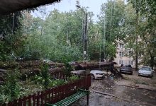 Photo of Circa 3000 de arbori avariați de furtuna din 9 august au fost evacuați din capitală