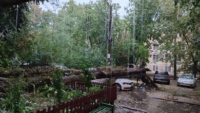Photo of Circa 3000 de arbori avariați de furtuna din 9 august au fost evacuați din capitală