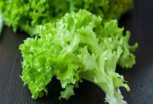 Photo of Salata verde – sfaturi pentru a o păstra proaspătă mai mult timp