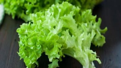 Photo of Salata verde – sfaturi pentru a o păstra proaspătă mai mult timp