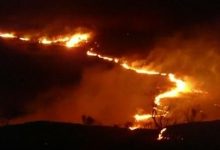 Photo of Opt localități din Spania au fost evacuate din cauza incendiilor de vegetație. Oamenii și-au părăsit casele și au fugit din calea focului