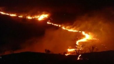 Photo of Opt localități din Spania au fost evacuate din cauza incendiilor de vegetație. Oamenii și-au părăsit casele și au fugit din calea focului