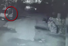 Photo of video | Un bărbat ar fi furat o mașină de pe teritoriul unei firme, după care a tamponat-o într-un copac. Era în stare de ebrietate