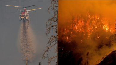 Photo of foto, video | Cel mai mare incendiu al anului din California continuă să avanseze: A distrus peste 20.600 de hectare din Pădurea Națională