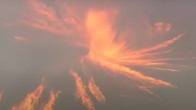 Photo of video | O „tornadă de foc” s-a produs în timpul unui incendiu de vegetație din California