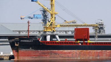 Photo of Încă două nave de transport cu cereale au plecat din Ucraina: Altele șapte, încărcate pentru export