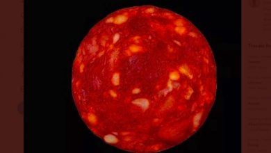 Photo of Steaua Alpha Centauri fotografiată de un cercetător era de fapt o felie de chorizo. Cum și-a trolat fizicianul fanii