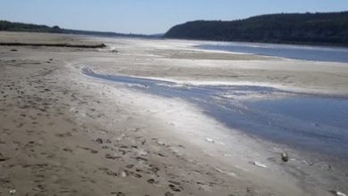 Photo of Râurile Europei se evaporă și dau peste cap navigația. 80 de miliarde de dolari, puse în pericol