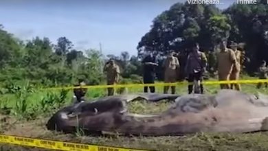 Photo of video | Bucăți de metal arse, resturi din racheta spațială chineză care s-a prăbușit necontrolat, au fost găsite în sate din Malaezia și Indonezia