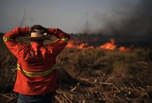 Photo of studiu | Rezultatele profunde ale schimbărilor climatice, inclusiv dispariția speciei umane, nu sunt luate suficient în serios