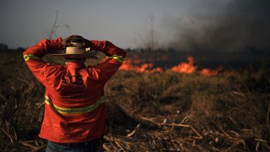 Photo of studiu | Rezultatele profunde ale schimbărilor climatice, inclusiv dispariția speciei umane, nu sunt luate suficient în serios