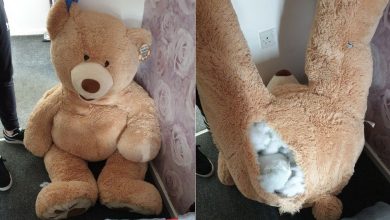 Photo of Un hoț care s-a ascuns într-un urs uriaș de pluș, prins când polițiștii și-au dat seama că jucăria „respira”