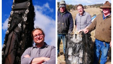 Photo of Cum resturile unei nave a lui Elon Musk au căzut din spațiu în padocul de oi al unui fermier, în Australia