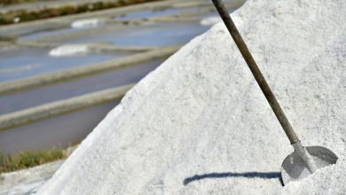 Photo of Efect neașteptat al secetei în Franța: Nivelul record la care a ajuns cantitatea de sare de mare