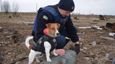 Photo of SUA acordă un ajutor de 89 milioane de dolari pentru deminarea Ucrainei