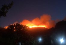 Photo of video | Un incendiu de vegetaţie a izbucnit pe o insula italiană. Designerul Giorgio Armani s-ar afla printre cei evacuați