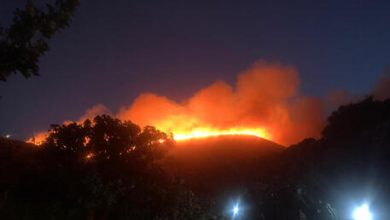 Photo of video | Un incendiu de vegetaţie a izbucnit pe o insula italiană. Designerul Giorgio Armani s-ar afla printre cei evacuați