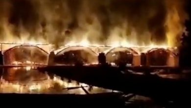 Photo of video | Un pod vechi de 900 de ani s-a prăbușit după ce a ars în întregime în doar câteva minute