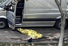 Photo of foto, video | Accident mortal la Botanica. Un bătrân a fost strivit de o mașină, chiar pe trotuar