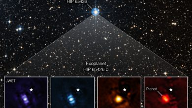 Photo of „Moment istoric” pentru astronomie. Telescopul James Webb a obținut prima imagine directă a unei exoplanete