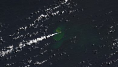 Photo of Oceanul Pacific are o nouă insulă. În doar șase zile, suprafața ei a crescut de șase ori