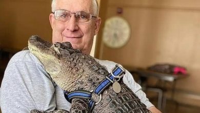 Photo of foto | Un aligator a devenit animal pentru sprijin emoțional: „Este renumit pentru îmbrățișările sale”