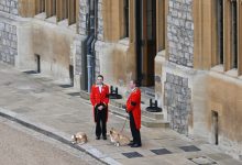 Photo of foto | Corgii reginei Elisabeta a II-a au așteptat-o la Castelul Windsor, pentru ultima dată