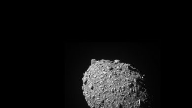 Photo of video, foto | Momentul în care o navă spațială NASA a lovit cu succes un asteroid