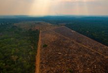 Photo of Defrişările în pădurea amazoniană din Brazilia, în creștere cu peste 80% în august, comparativ cu anul trecut