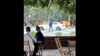 Photo of video | Amendă ridicol de mică pentru un șofer care a deteriorat havuzul din parcul La Izvor