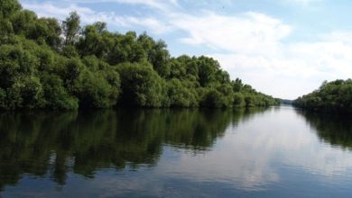 Photo of Meteorologii avertizează: Cod galben și portocaliu de scurgere scăzută a apei din râurile din R. Moldova